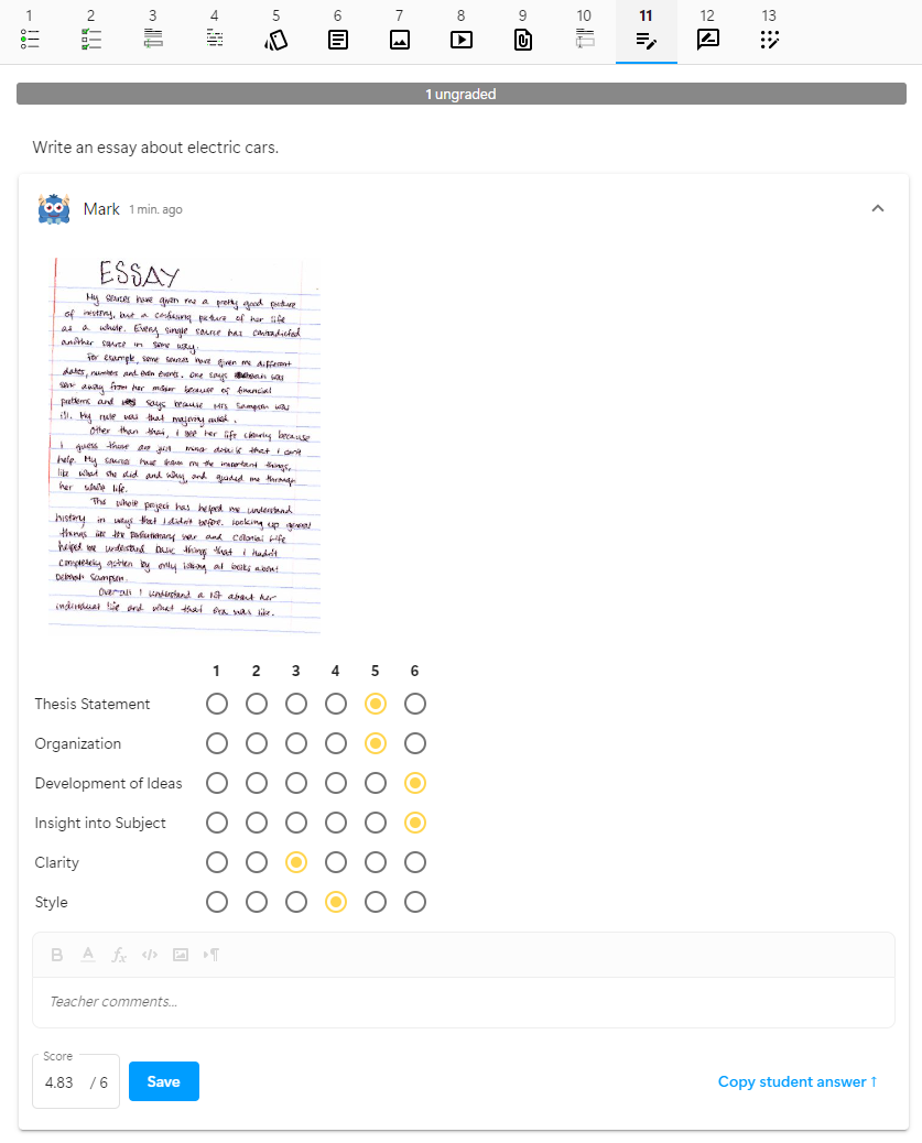 Essay grading form